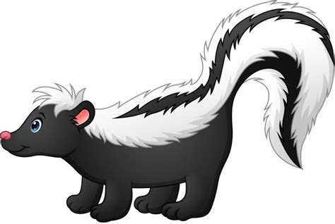 Skunk Tail Illustrations, Royalty-Free Vector Graphics & Clip Art - iStock