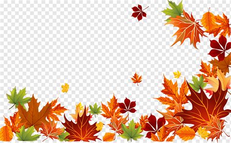 Fall Leaf Png Border