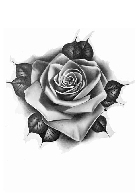 Watercolor Rose Tattoos, Rose Drawing Tattoo, Flower Tattoo Drawings ...