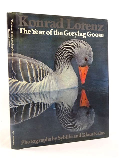 Stella & Rose's Books : THE YEAR OF THE GREYLAG GOOSE Written By Konrad ...