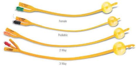 FOLEY CATHETER - Sukitha Pharmacy & Clinic (Pvt) Ltd