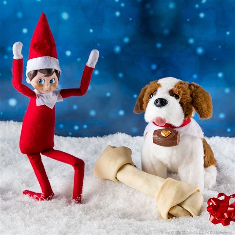 Elf Pets® Saint Bernard Tradition | Elf on the shelf pet ideas, Elf pets, Elf on the shelf