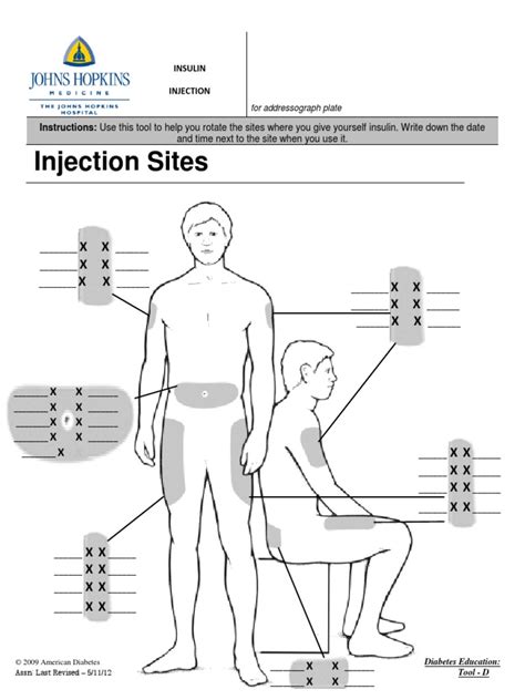 Insulin Injection Sites Diagram Printable