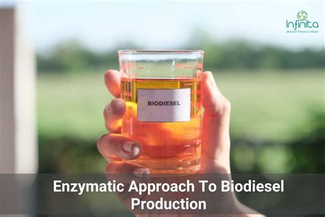 Enzymatic Approach To Biodiesel Production | Infnita Biotech