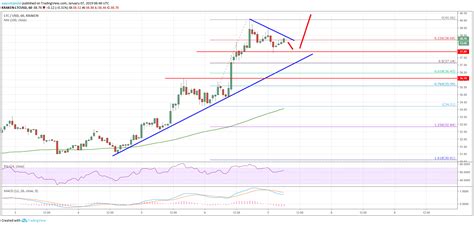 Litecoin (LTC) Price Analysis: Rally Could Extend To $50 - Ethereum World News