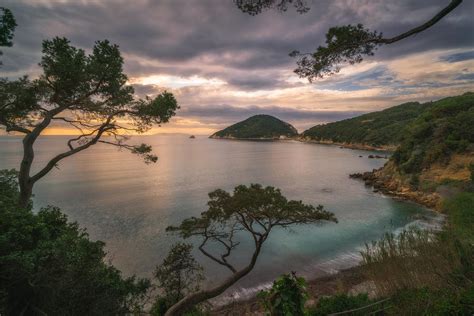 Zen Garden Of Nature Photograph by Ludwig Riml - Fine Art America