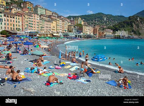 People on the beach, fishing village of Camogli, Genoa Province Stock Photo, Royalty Free Image ...