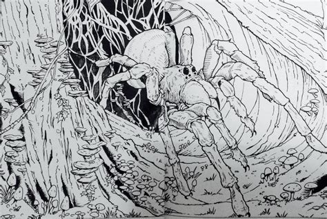 Aragog by hereisevil2 on DeviantArt