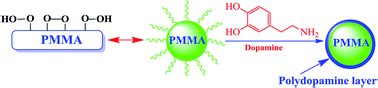 Bio-inspired green surface functionalization of PMMA for ...