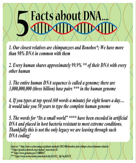 Fun Friday - Five Fantastic Facts about DNA and how to extract DNA from ...