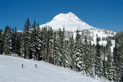 Mount Hood Meadows town guide - World Snowboard Guide