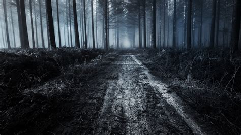 Dark Forest Road Wallpapers - Top Free Dark Forest Road Backgrounds - WallpaperAccess