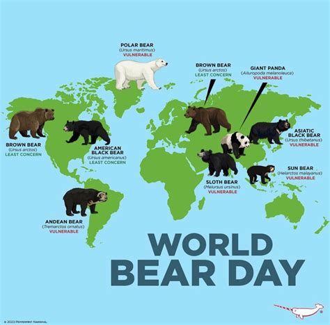 World map of the bear population - Vivid Maps