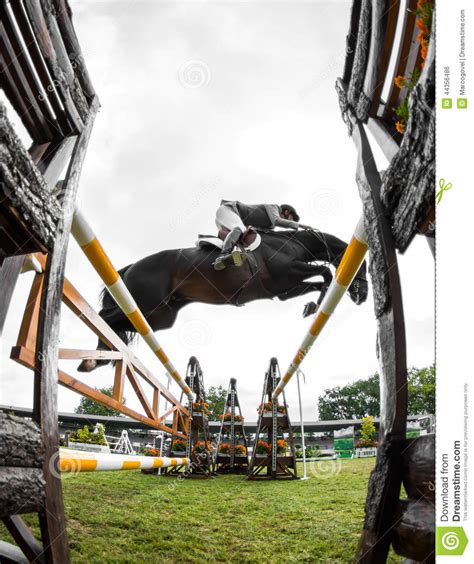 Horse jumping competition editorial photo. Image of horseman - 44356486