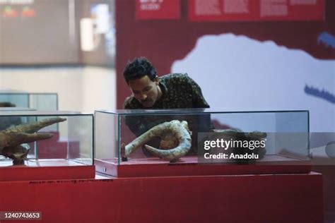 National Museum Of Ethiopia Photos and Premium High Res Pictures - Getty Images