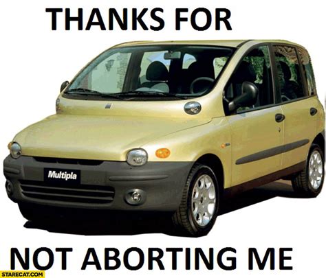 Fiat Multipla Memes