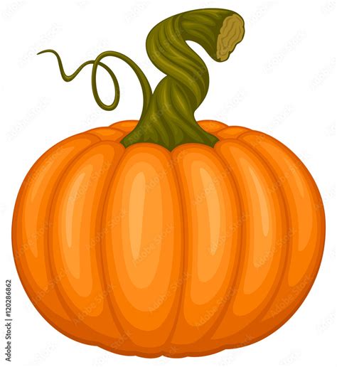 Pumpkin Stem Stock Illustrations – 5,628 Pumpkin Stem Stock - Clip Art Library