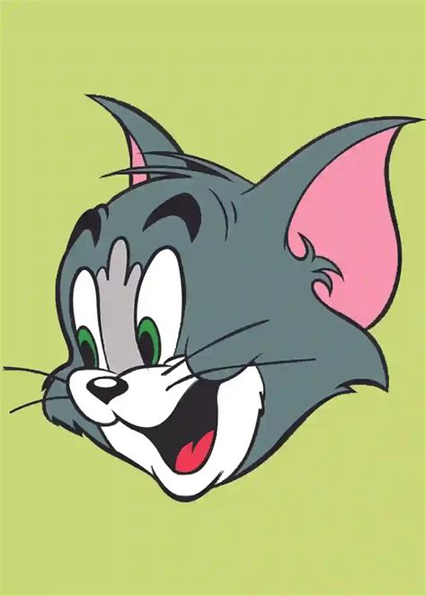 How To Draw Tom And Jerry Cartoon Characters