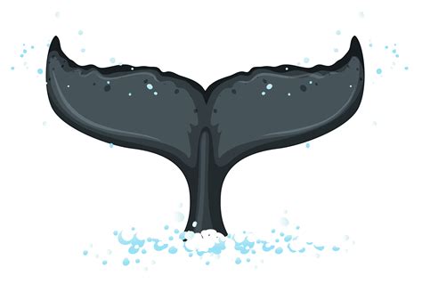 A tail of humpback whale 373669 Vector Art at Vecteezy