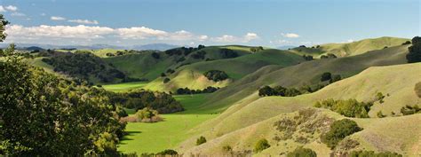 DIY Hike: At Briones Regional Park, a Popular Autumn Display - Greenbelt Alliance