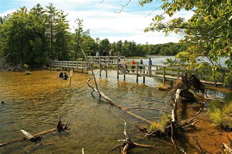 Lost Lake and Island Trail – Hiking Ludington State Park | Ludington ...