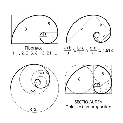 What Is the Fibonacci Sequence? | Fibonacci sequence art, Fibonacci art☸️ Experimente a emoção ...