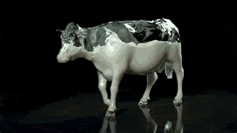 . Animated Gifs, Joke Of The Day, Tumblr, Milk Cow, Gif Animé, Moving ...