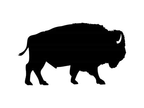 Buffalo Silhouette Vector at GetDrawings | Free download