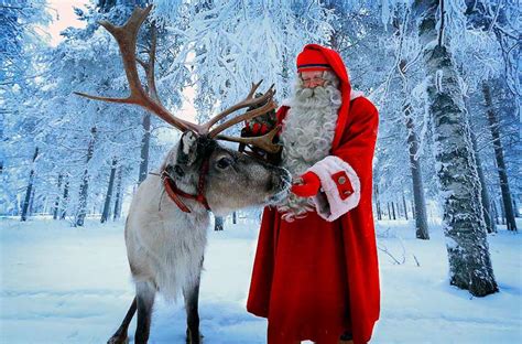 The truth about reindeer, the majestic deer used to pull Santa's sleigh.