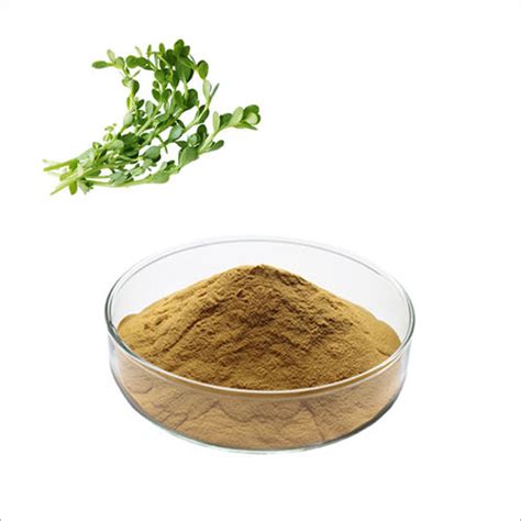 Bacopa Monnieri Extract at 100000.00 INR in Hyderabad, Telangana ...