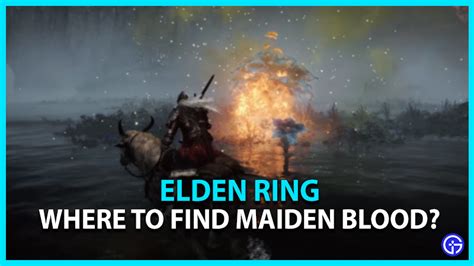 Where To Find Maiden Blood Elden Ring - Gamer Tweak