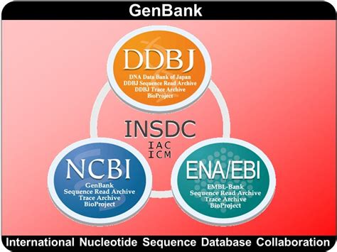 Primary Databases