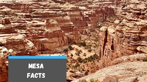 Facts about Mesa: