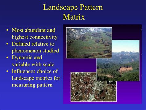 PPT - Landscape Pattern PowerPoint Presentation, free download - ID:3289984