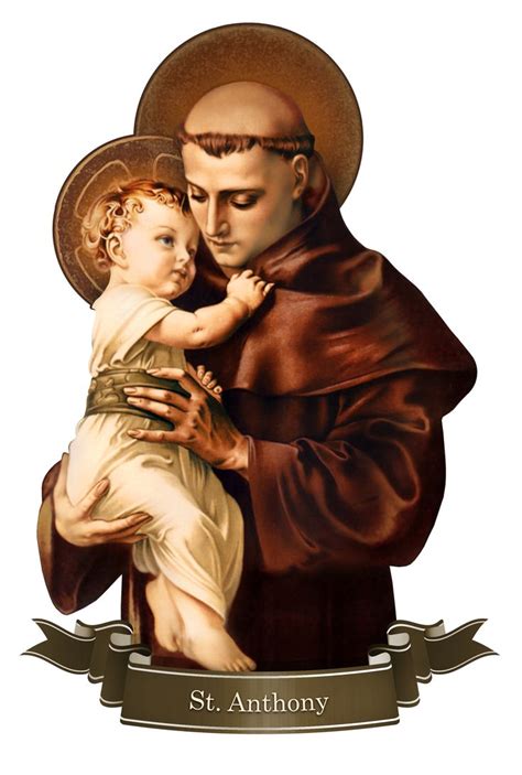 Saint Anthony of Padua Decal | Saint anthony of padua, Saint antony, Saint anthony