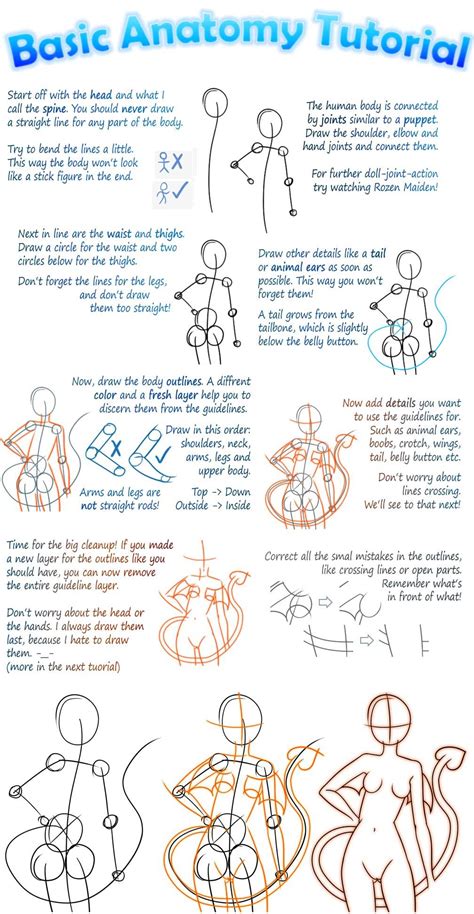 Basic Manga Anatomy Tutorial by Tiiara on deviantART | Анатомия уроки, Учебник по манге, Уроки ...
