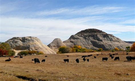 Boulder Utah Information - AllTrips