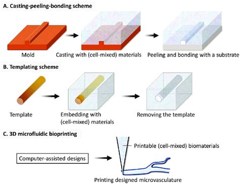 Schematic illustration of three microfluidics-based fabrication... | Download Scientific Diagram