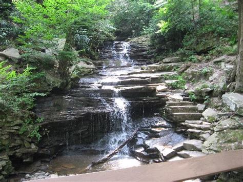 Sites seen hiking - Picture of Raystown Lake, Pennsylvania - Tripadvisor