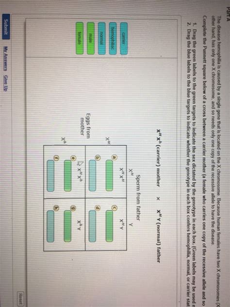 Solved: The Disease Hemophilia Is Caused By A Single Gene ... | Chegg.com