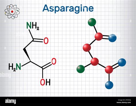 Asparagine Structure