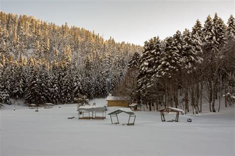 Abant / Bolu / Turkey, Winter Snow Landscape. Travel Concept Photo ...