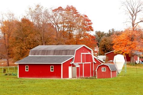 Red Barn In Autumn Field Free Stock Photo - Public Domain Pictures