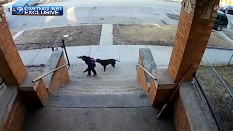 VIDEO: Teen with broom rescues young kids from dog attack in Chicago ...