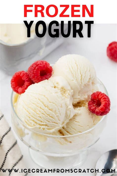 Easy Homemade Frozen Yogurt - Ice Cream From Scratch