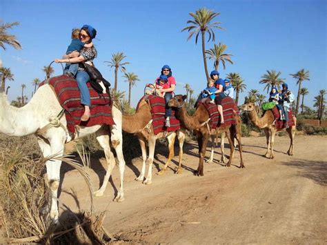 Camel Ride Tour In Marrakech Palm Grove - Morocco Desert Expeditions