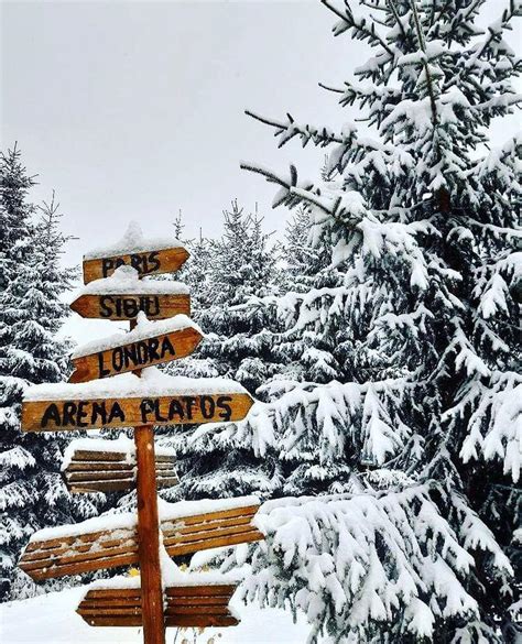 Păltiniș, Romania - A beautiful mountain resort - Trail Trips Romania ...