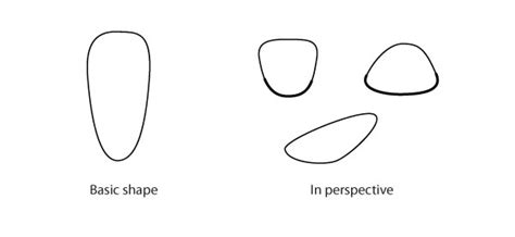 Human Anatomy Fundamentals: How to Draw Feet