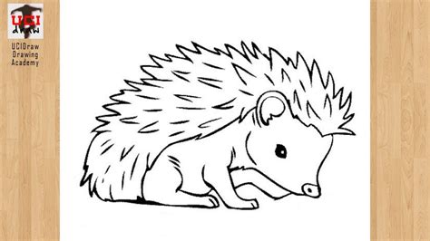 How to Draw a Hedgehog Drawing | Cute Hedgehog Outline Easy Step by ...