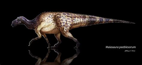 Maiasaura | Dinosaurs - Pictures and Facts